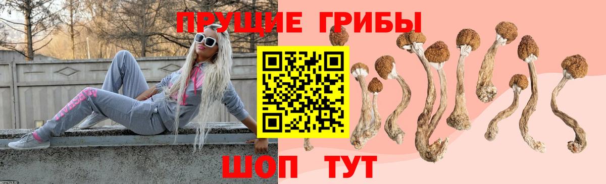 Борисоглебск  Псилоцибиновые грибы Cubensis  Псилоцибиновые грибы GOLDEN TEACHER  наркотики  Вход с VPN 