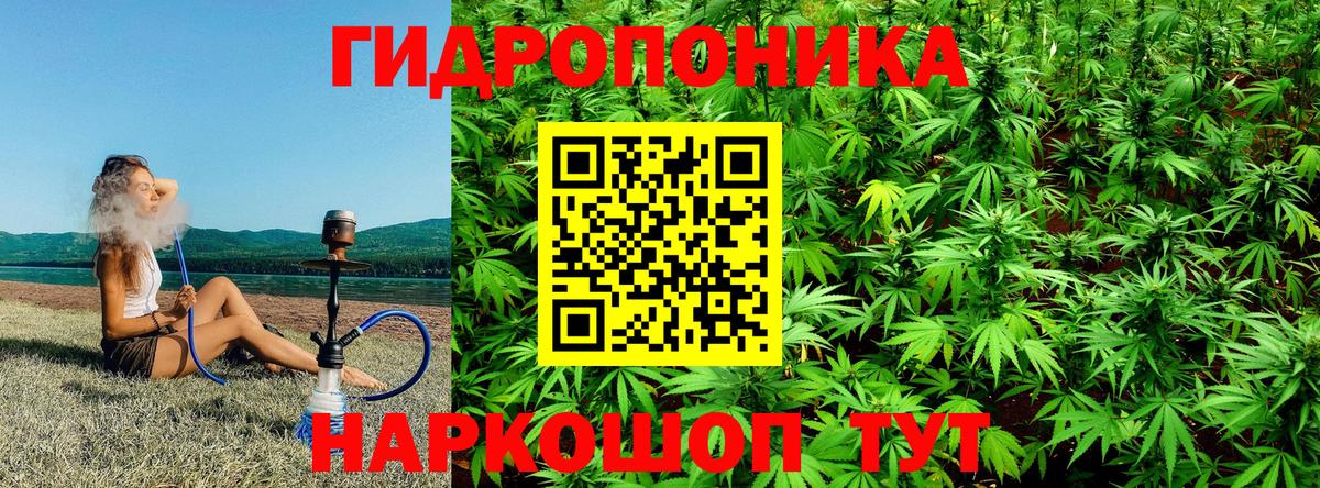 Бошки марихуана LSD WEED  Вход с VPN  Каннабис сатива  Борисоглебск  Бошки марихуана Ganja 